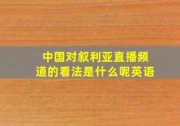 中国对叙利亚直播频道的看法是什么呢英语