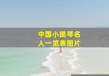 中国小提琴名人一览表图片