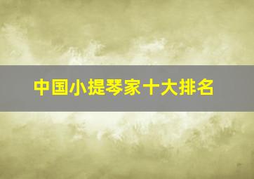 中国小提琴家十大排名