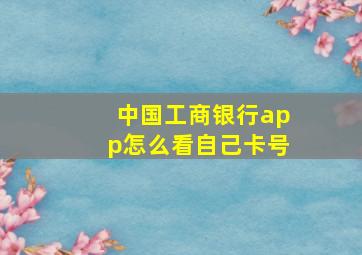 中国工商银行app怎么看自己卡号