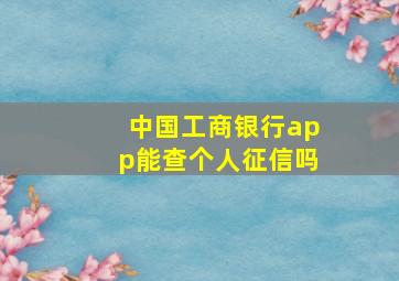 中国工商银行app能查个人征信吗