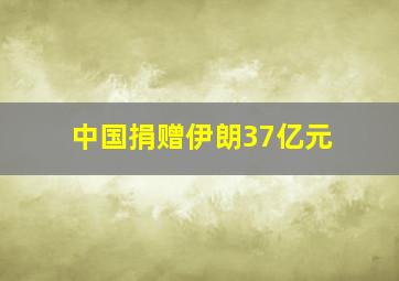 中国捐赠伊朗37亿元