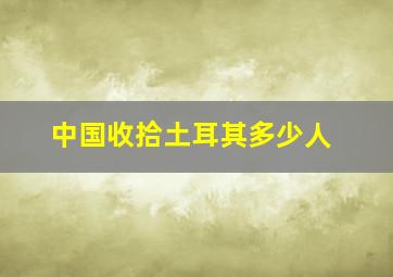 中国收拾土耳其多少人