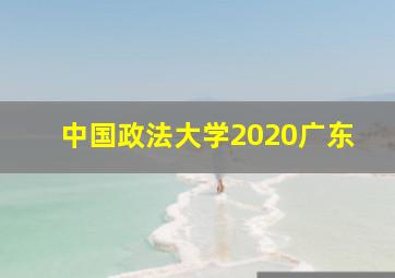 中国政法大学2020广东