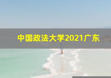 中国政法大学2021广东