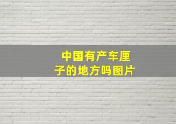 中国有产车厘子的地方吗图片