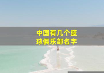 中国有几个篮球俱乐部名字