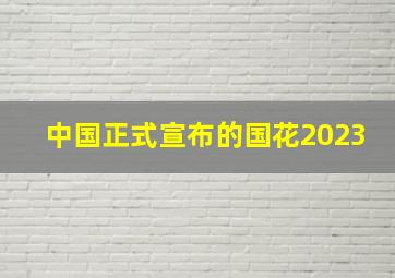 中国正式宣布的国花2023