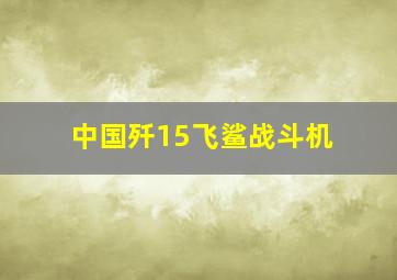 中国歼15飞鲨战斗机