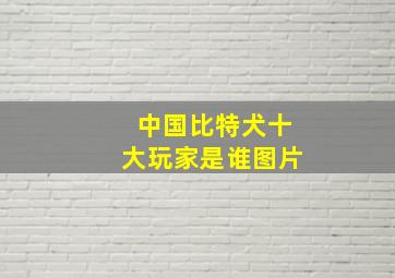 中国比特犬十大玩家是谁图片