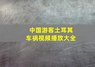 中国游客土耳其车祸视频播放大全