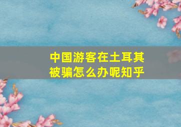 中国游客在土耳其被骗怎么办呢知乎