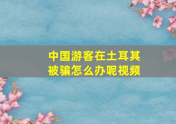 中国游客在土耳其被骗怎么办呢视频