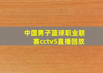 中国男子篮球职业联赛cctv5直播回放