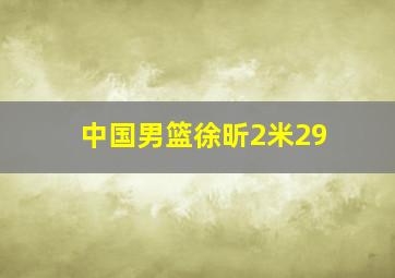 中国男篮徐昕2米29