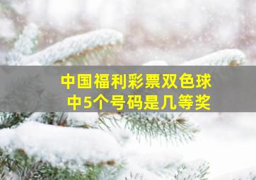 中国福利彩票双色球中5个号码是几等奖