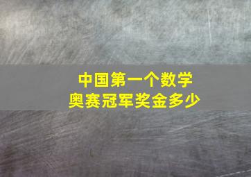 中国第一个数学奥赛冠军奖金多少