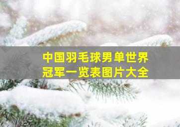 中国羽毛球男单世界冠军一览表图片大全