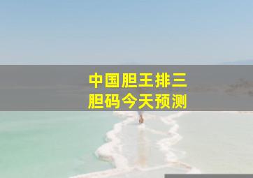 中国胆王排三胆码今天预测