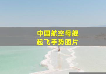 中国航空母舰起飞手势图片