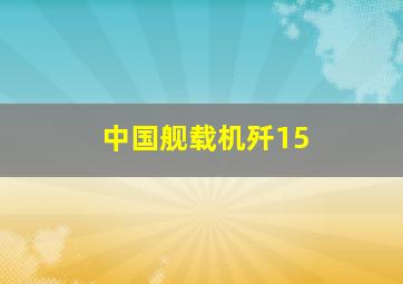 中国舰载机歼15