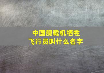 中国舰载机牺牲飞行员叫什么名字