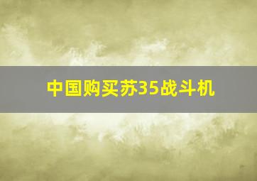 中国购买苏35战斗机