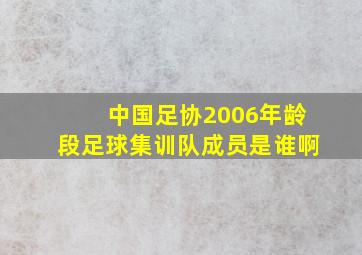 中国足协2006年龄段足球集训队成员是谁啊