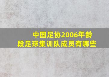 中国足协2006年龄段足球集训队成员有哪些