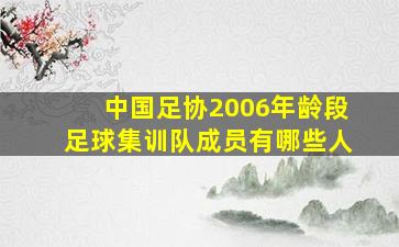 中国足协2006年龄段足球集训队成员有哪些人