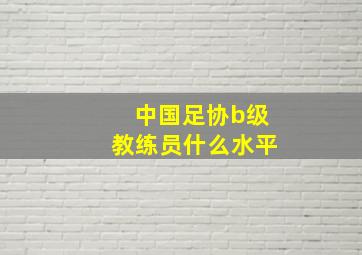 中国足协b级教练员什么水平