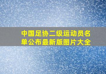 中国足协二级运动员名单公布最新版图片大全