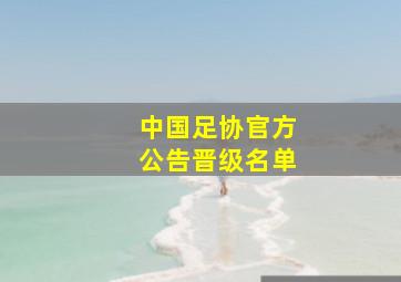 中国足协官方公告晋级名单