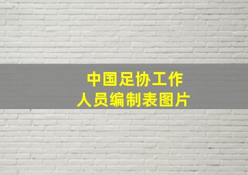 中国足协工作人员编制表图片