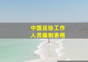 中国足协工作人员编制表格