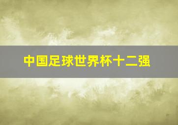 中国足球世界杯十二强