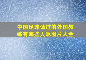 中国足球请过的外国教练有哪些人呢图片大全