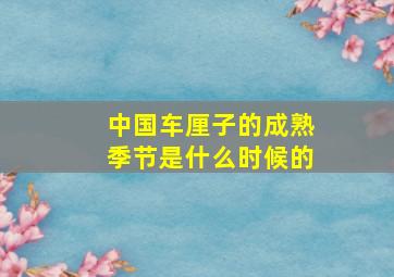 中国车厘子的成熟季节是什么时候的