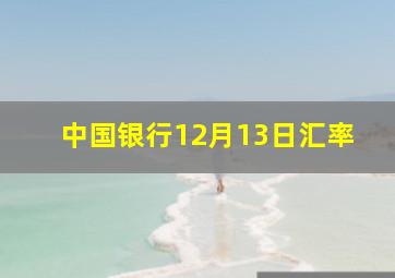 中国银行12月13日汇率