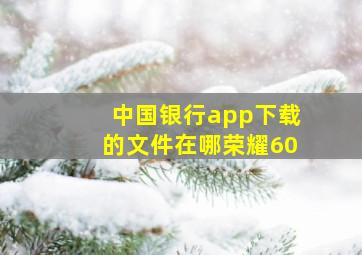 中国银行app下载的文件在哪荣耀60