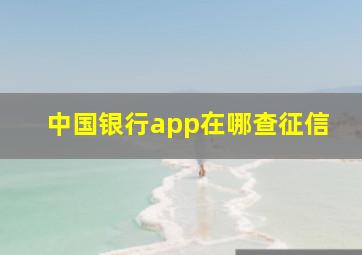 中国银行app在哪查征信