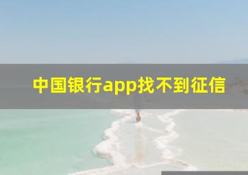 中国银行app找不到征信