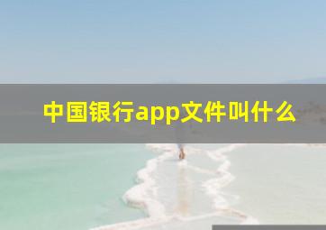 中国银行app文件叫什么