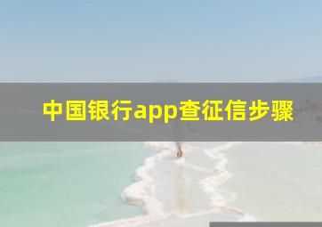 中国银行app查征信步骤