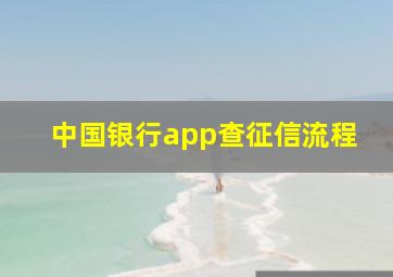 中国银行app查征信流程