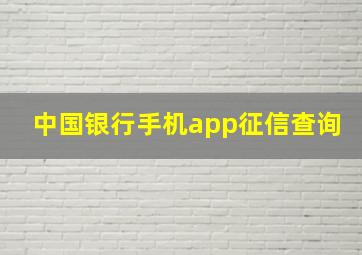 中国银行手机app征信查询