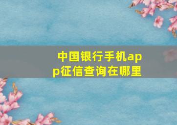 中国银行手机app征信查询在哪里