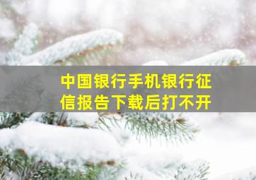 中国银行手机银行征信报告下载后打不开