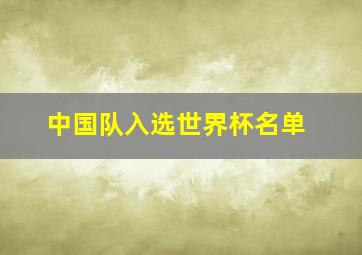 中国队入选世界杯名单