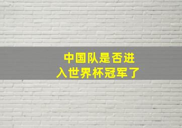 中国队是否进入世界杯冠军了